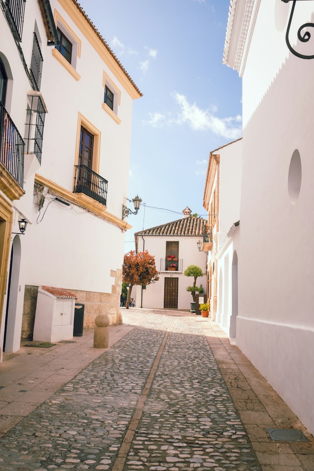 a cobblestone street in a small town