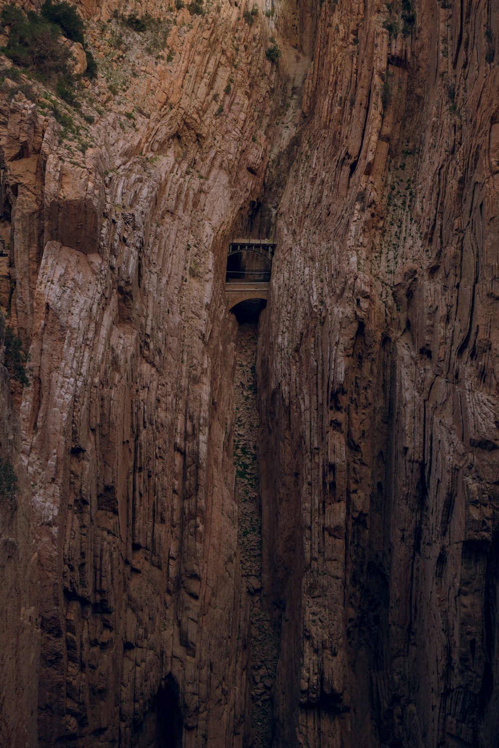 a man standing on a bridge over a canyon