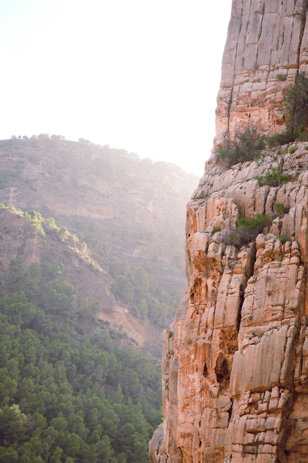 a rocky cliff with trees on the side of it