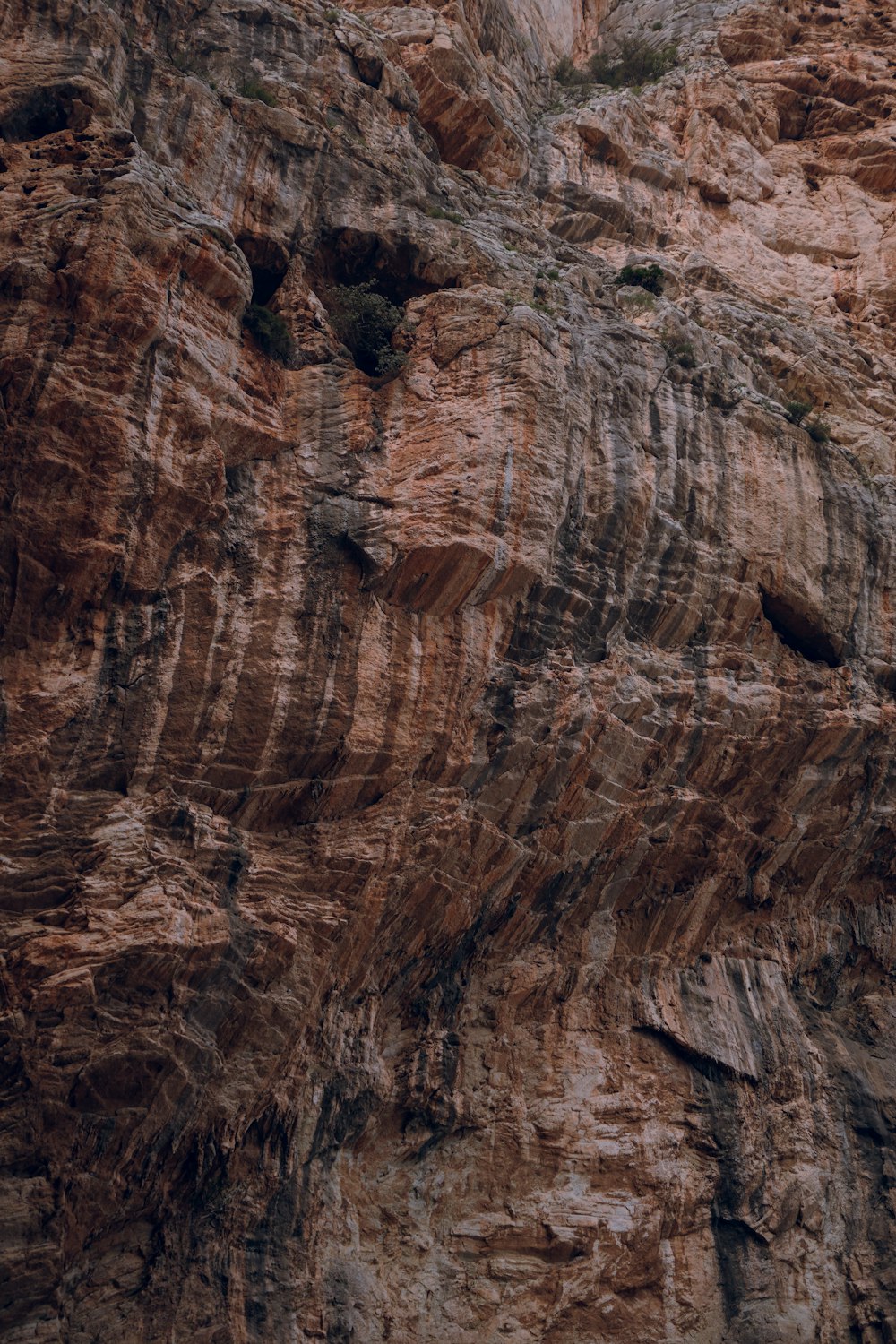 una ladera montañosa con una pared rocosa muy grande