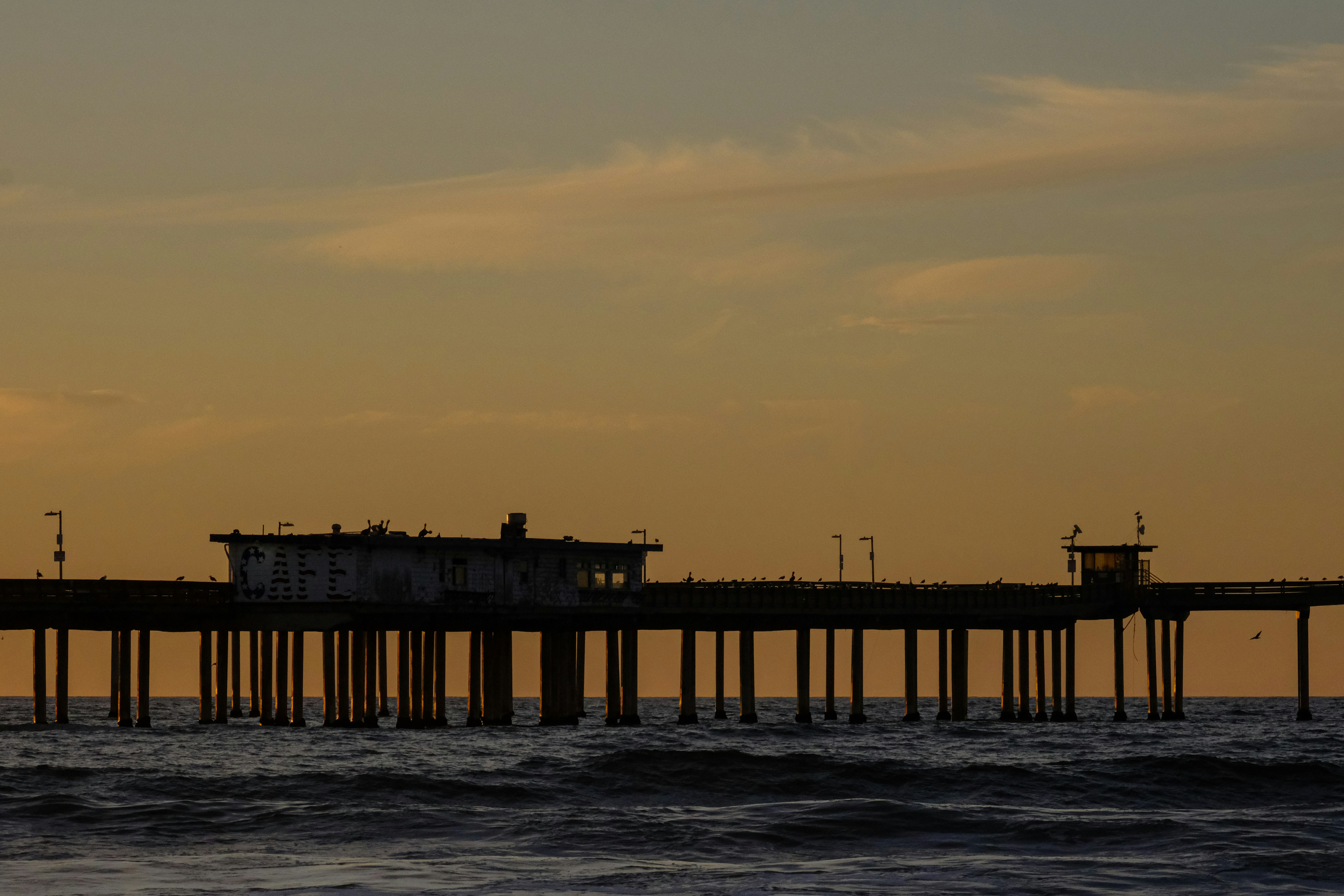 Photo by cestmoisheedy