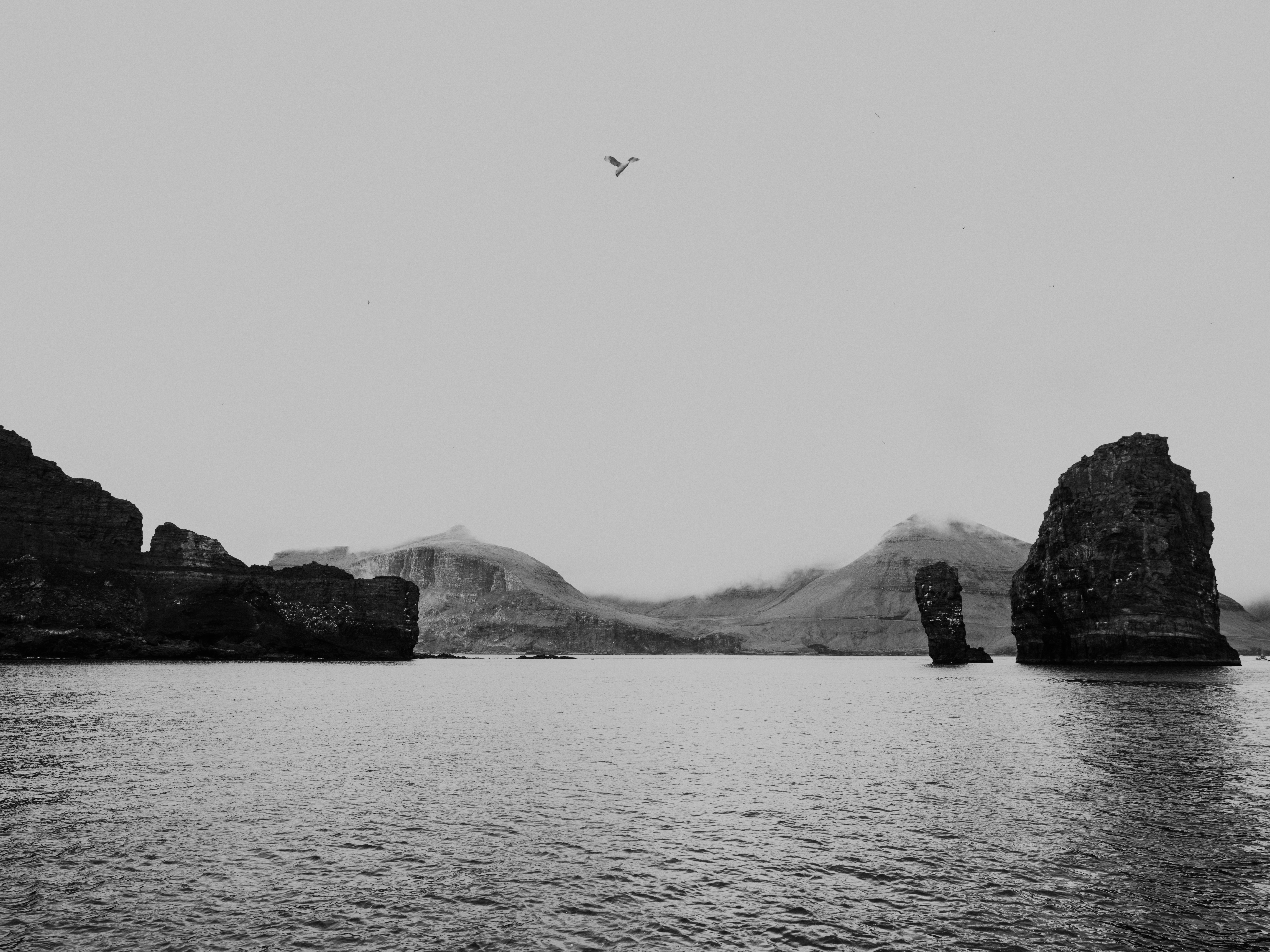 Photo by anniespratt