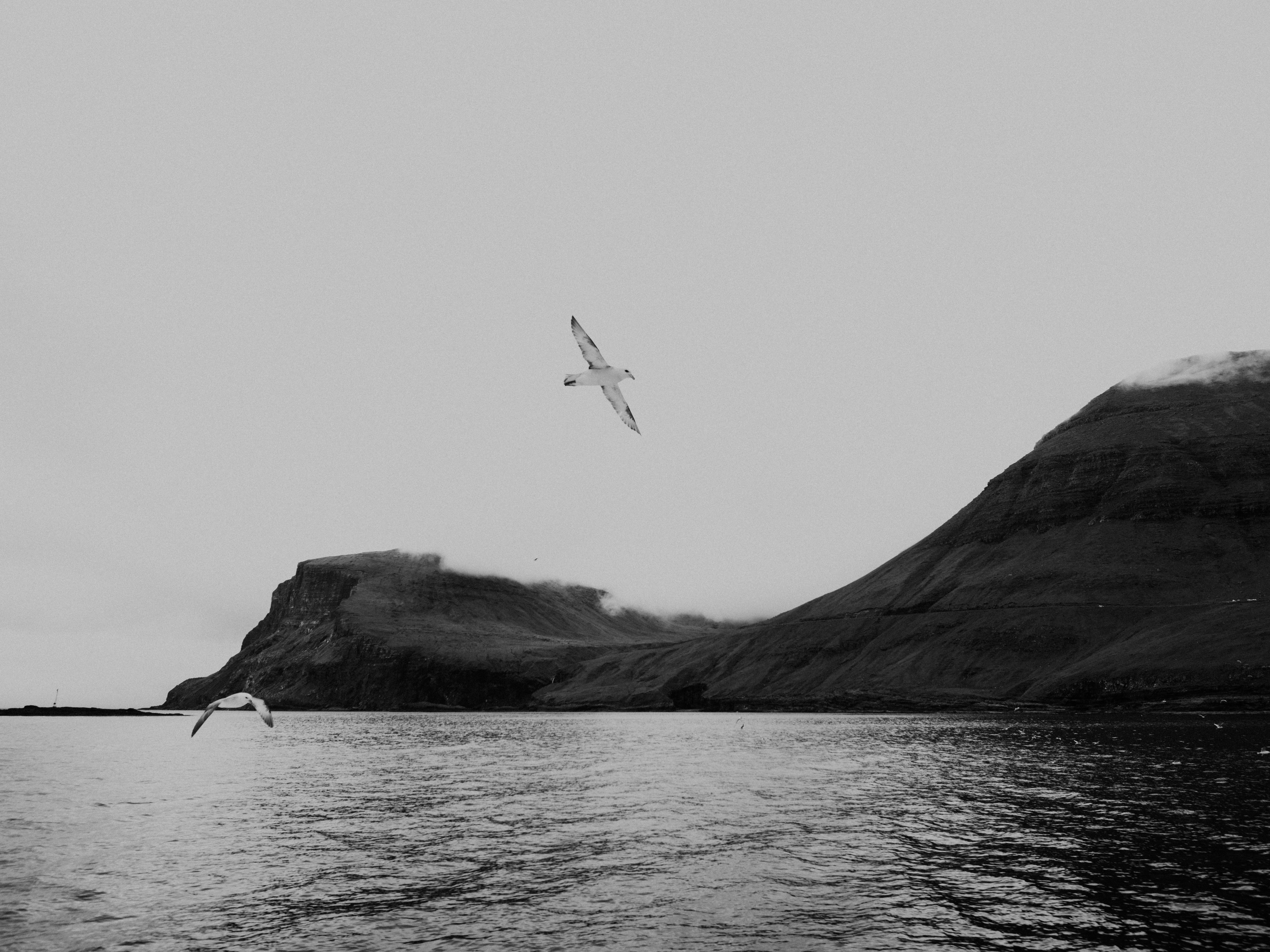 Photo by anniespratt