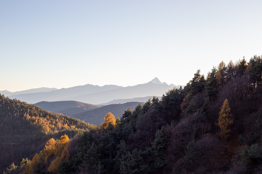 a view of a mountain range with trees in the foreground