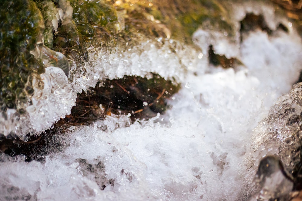 a close up of a rock with water coming out of it