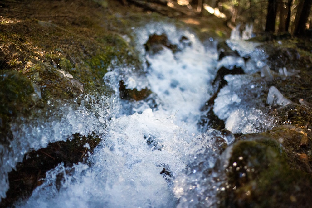 a stream of water running through a forest