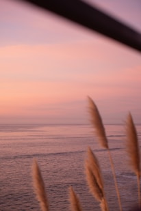 a view of a body of water at sunset