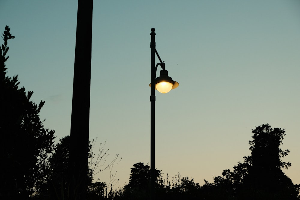 a street light sitting next to some trees