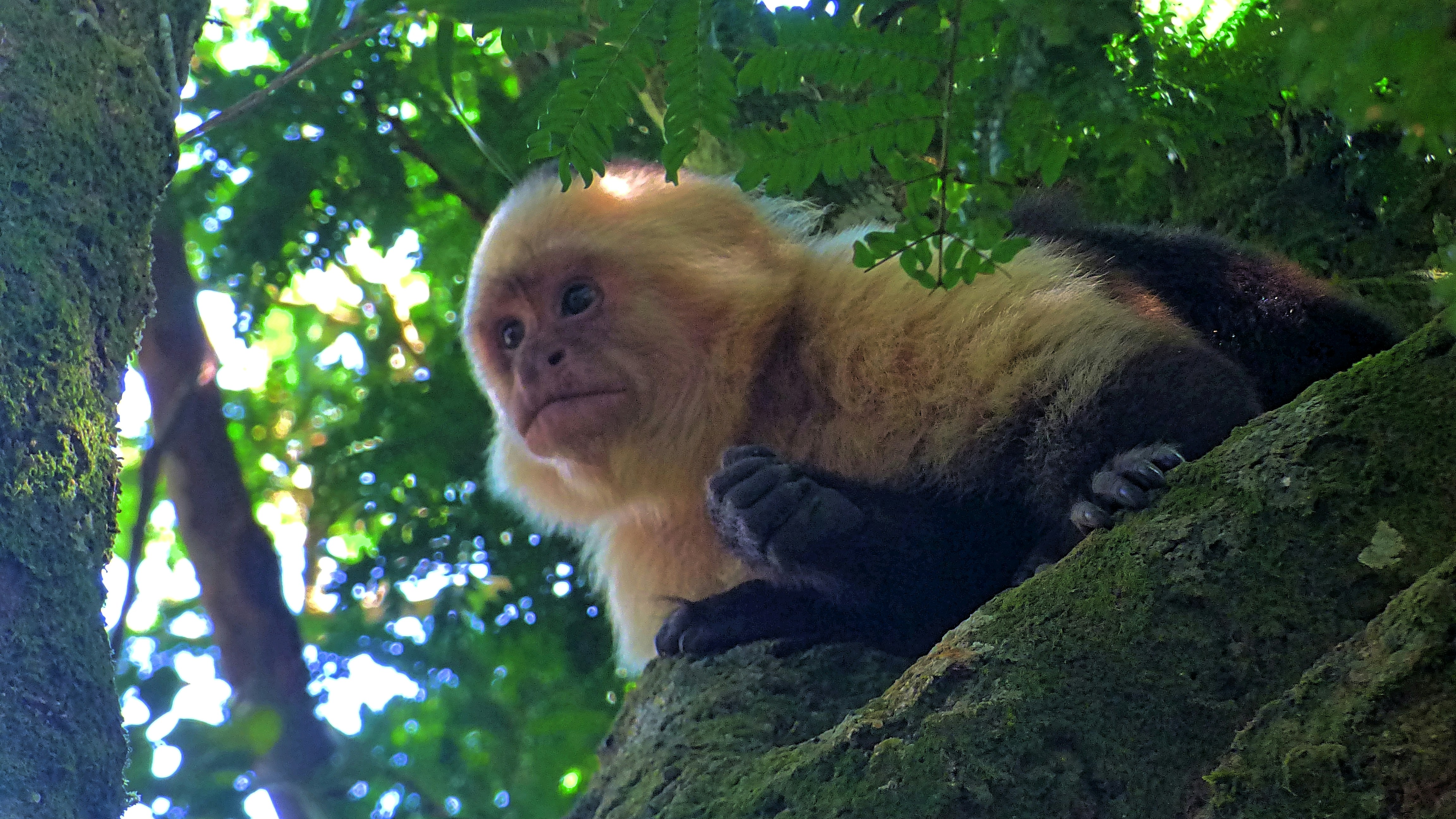 Photo by sweetywilson