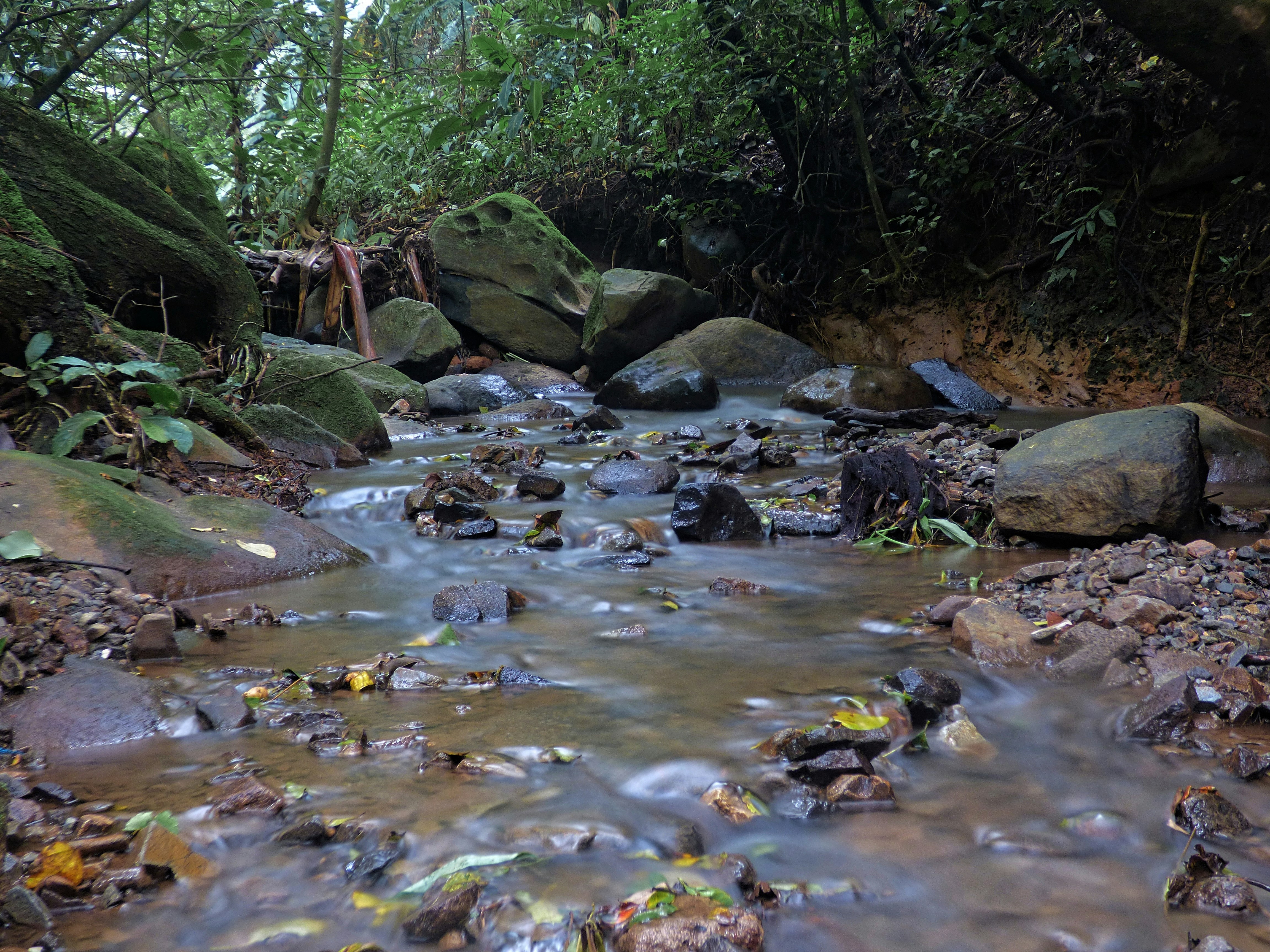 Photo by sweetywilson