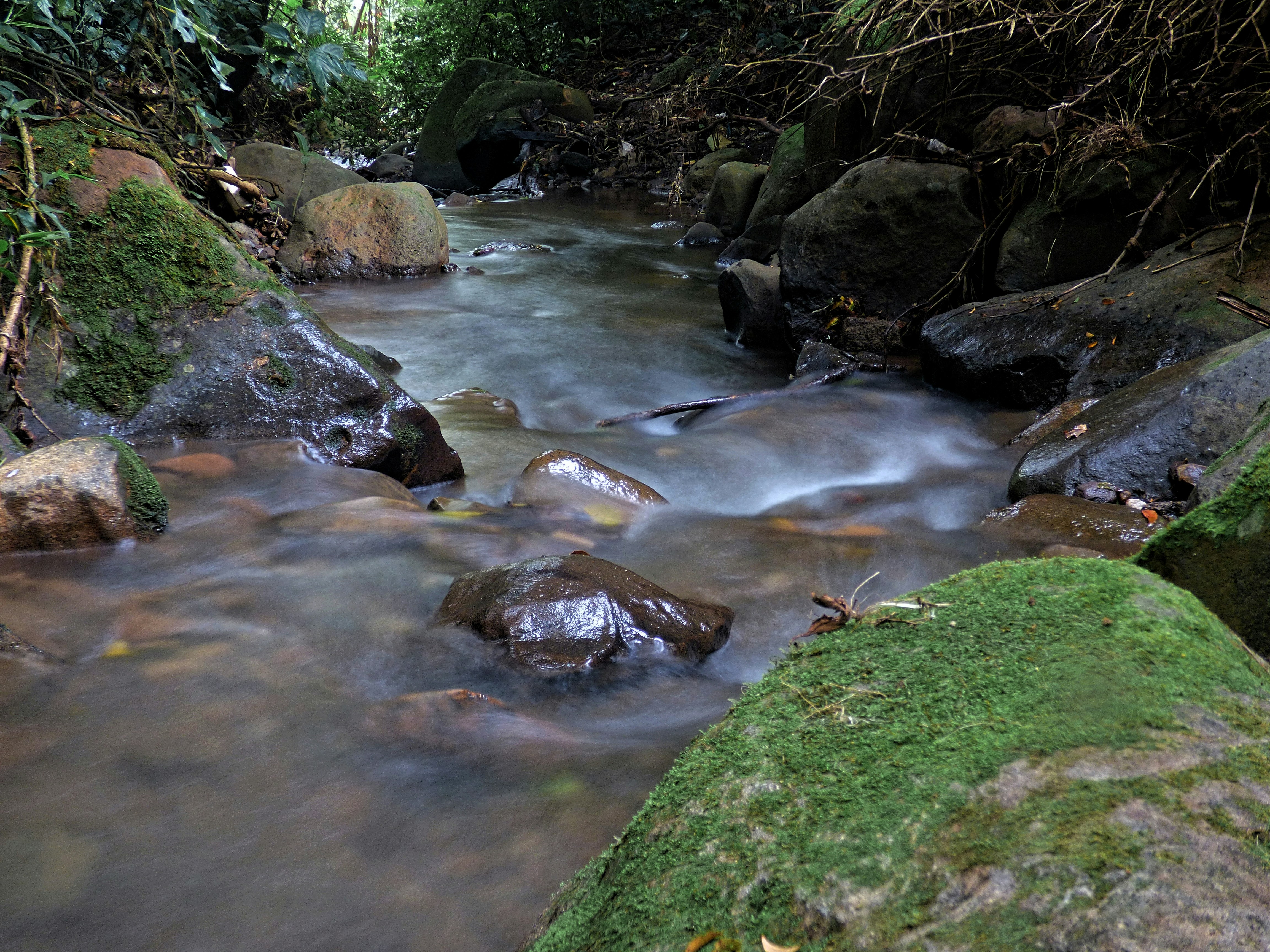 Photo by sweetywilson