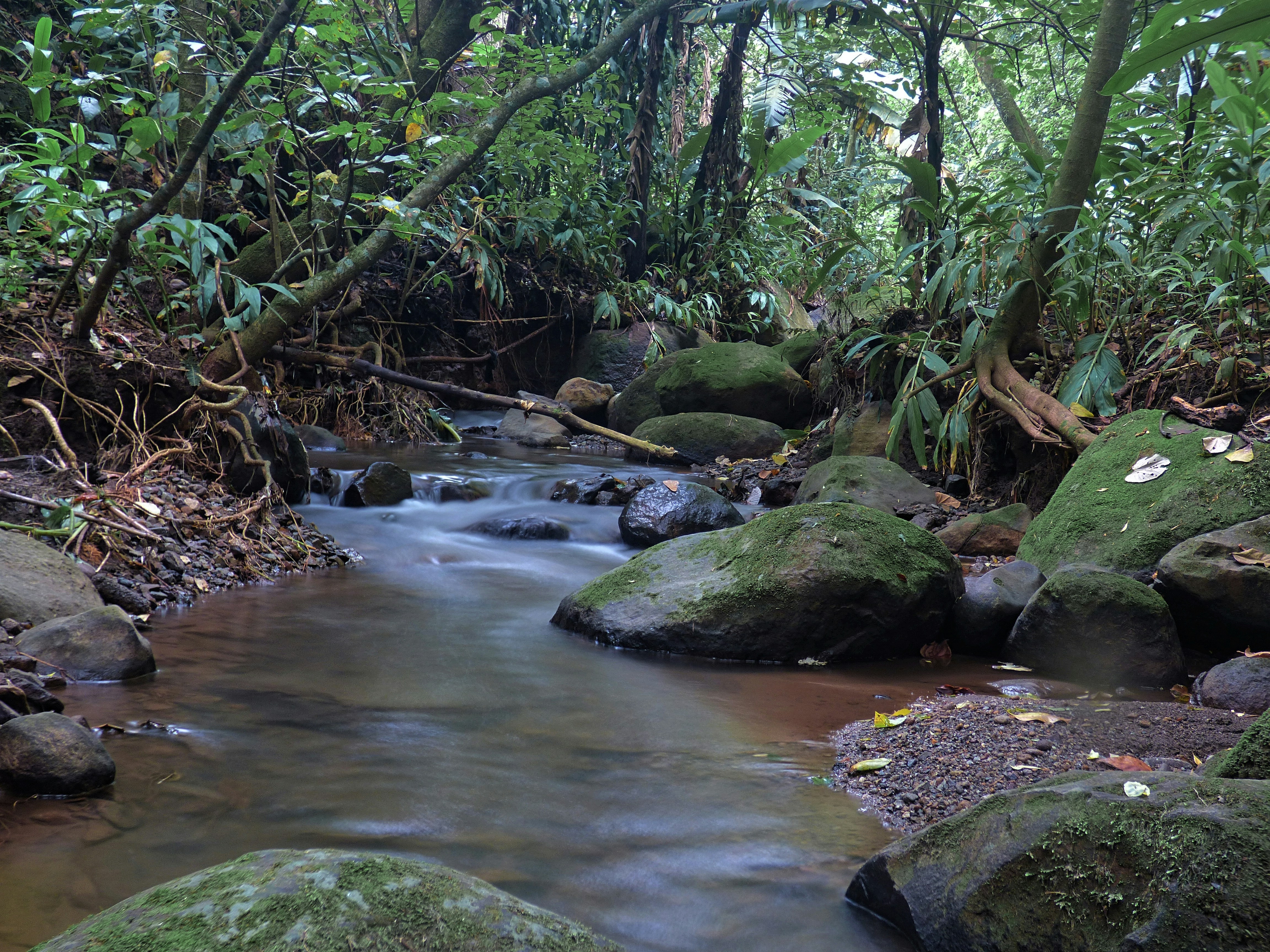 Photo by sweetywilson