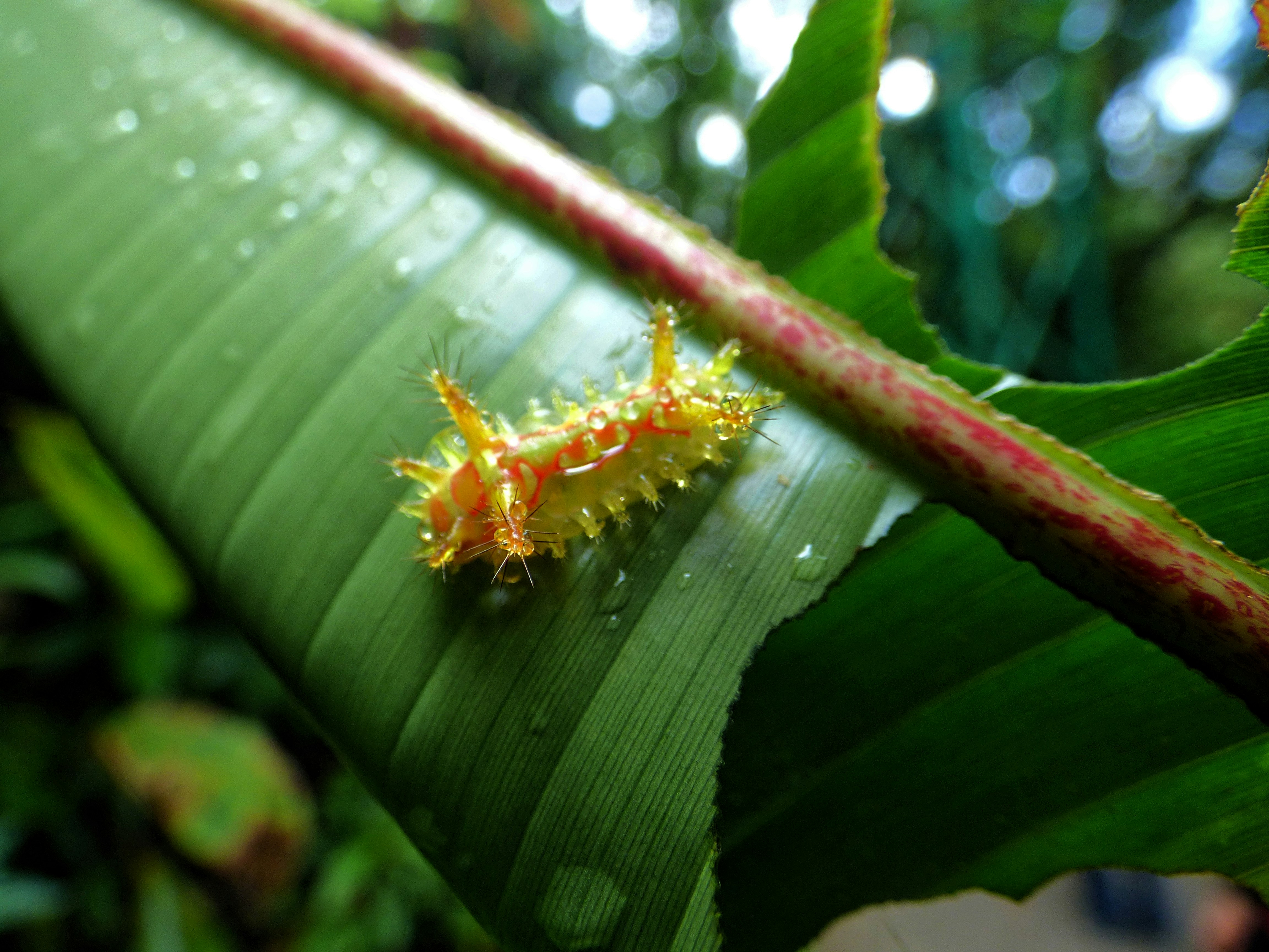 Photo by sweetywilson