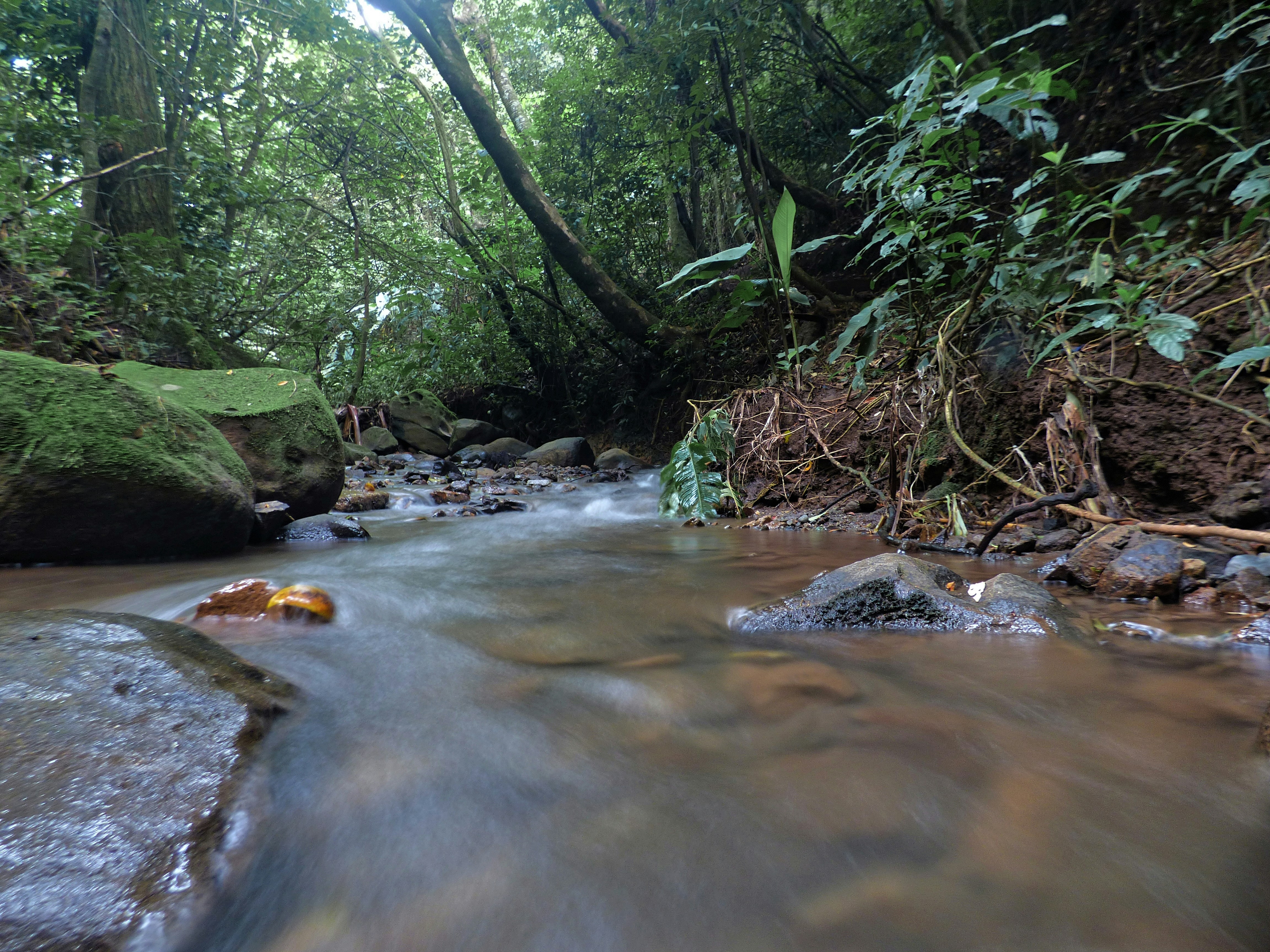 Photo by sweetywilson