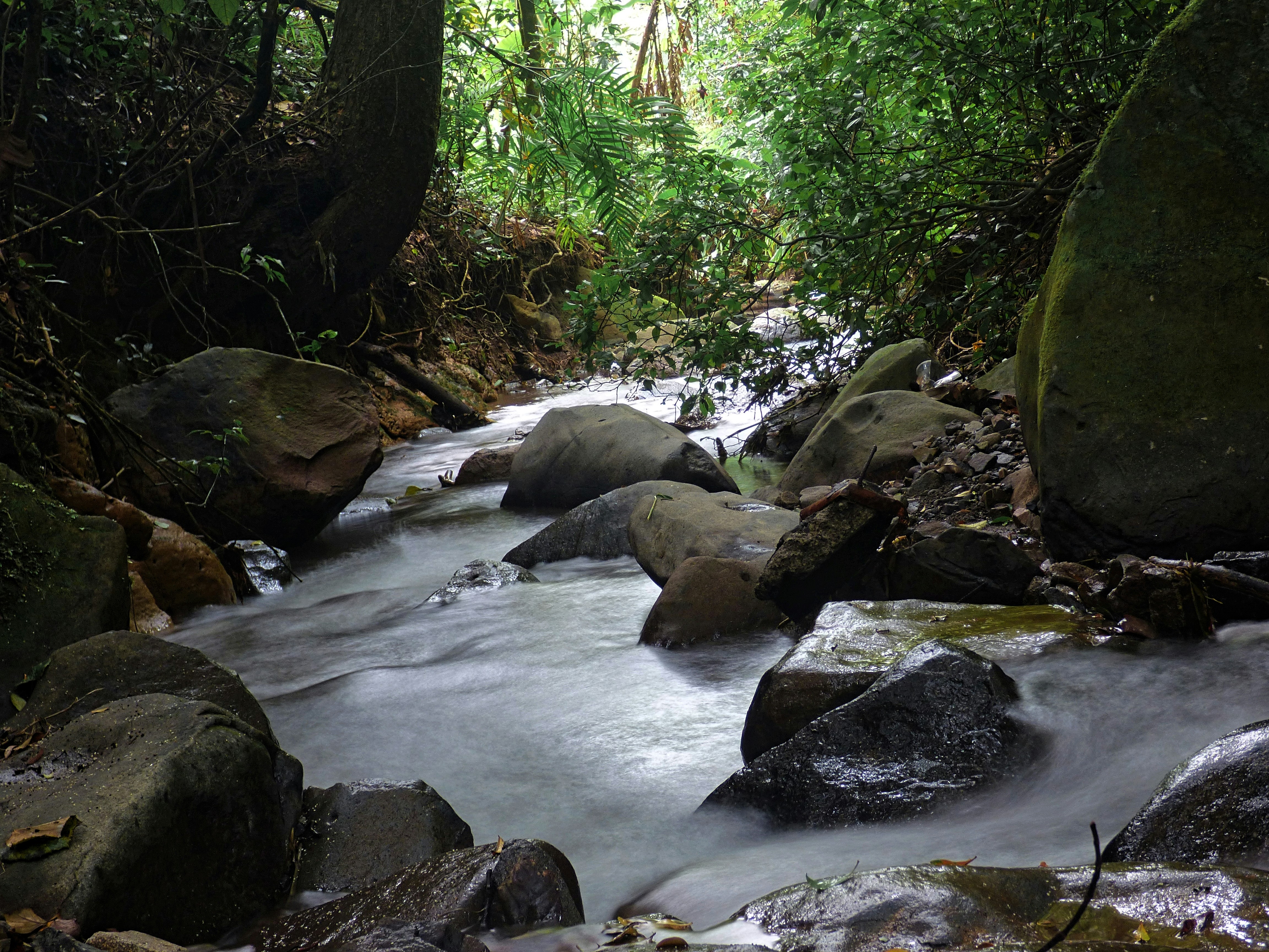 Photo by sweetywilson