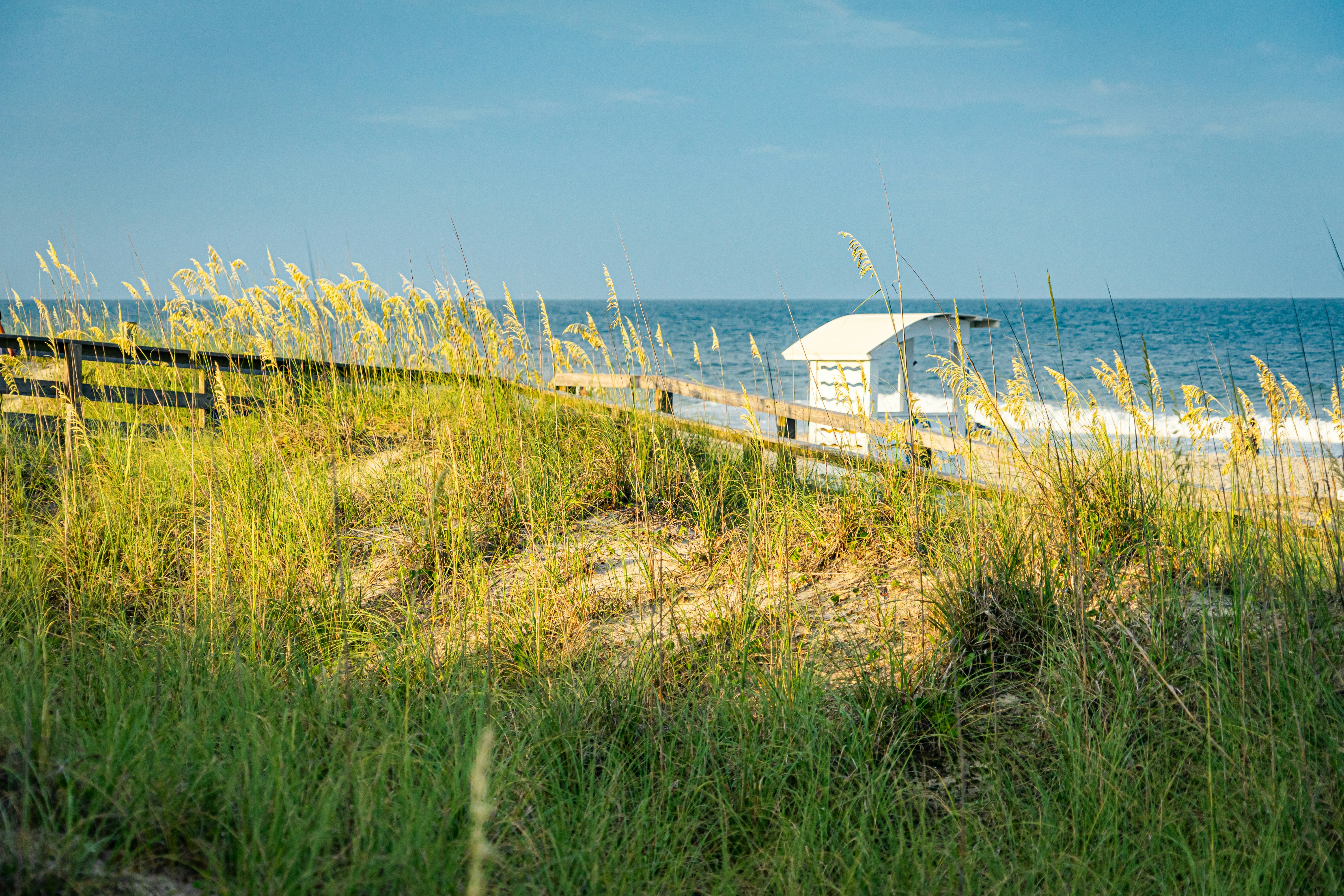 Photo by drew_graphe