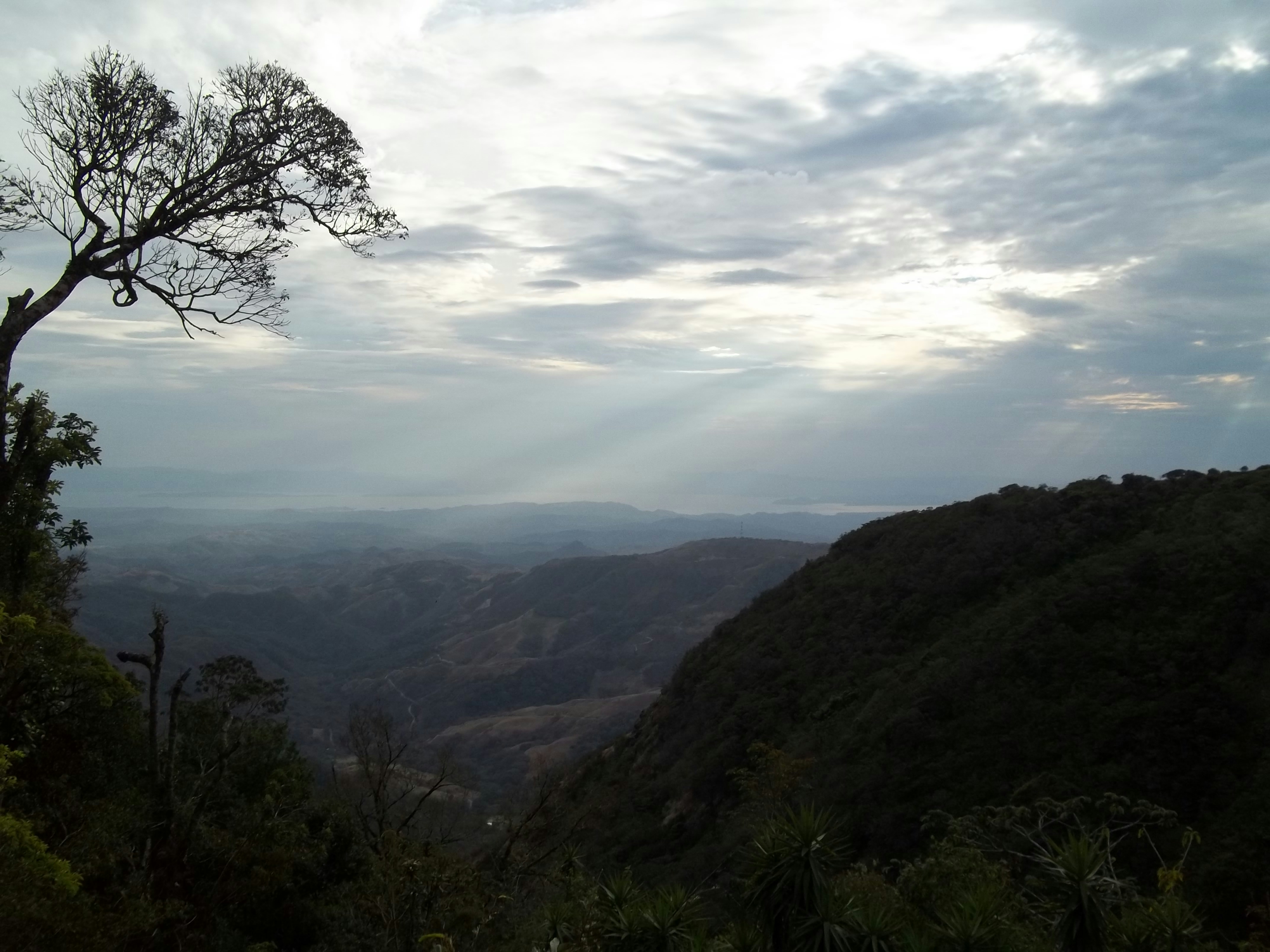 Photo by sweetywilson