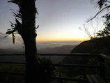 Evening view from the balcony showing the peaceful forest surroundings.
