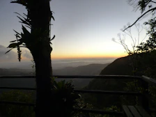 Evening view from the balcony showing the peaceful forest surroundings.
