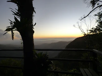 Cozy balcony view at dusk with forest silhouettes in the Harz mountains.