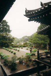 Students exploring a traditional Japanese temple garden during a language stay.