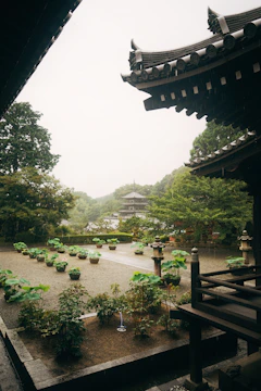 Students exploring a traditional Japanese temple garden during a language stay.