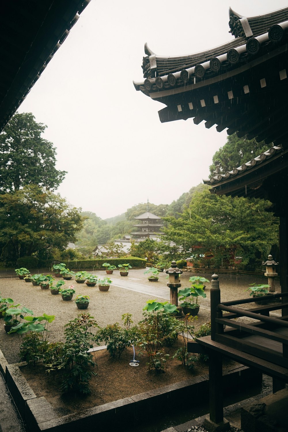 a view of a garden from inside a building