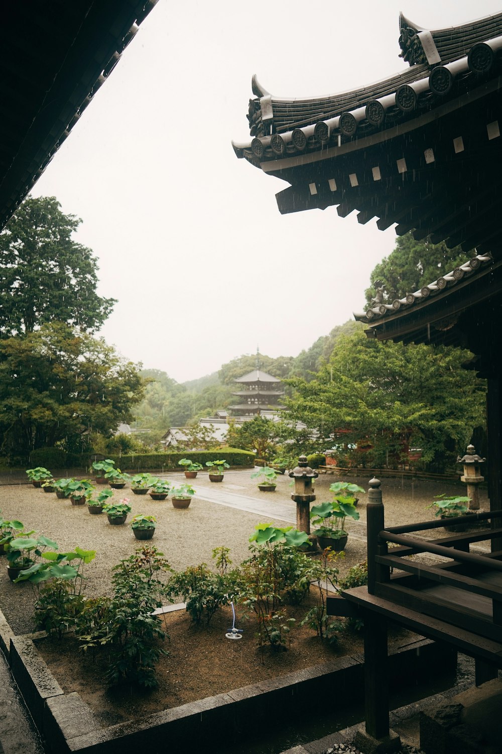 Una vista de un jardín desde el interior de un edificio