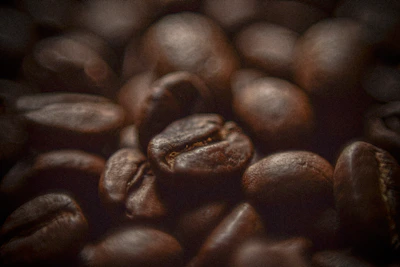 A close-up shot of freshly roasted Himalayan coffee beans resting on a textured wooden surface with soft natural light highlighting their rich brown hues.