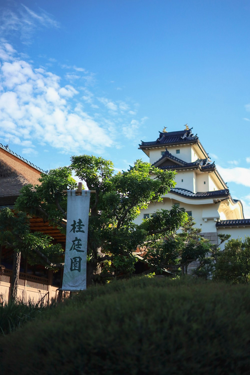 a tall white building sitting next to a lush green forest