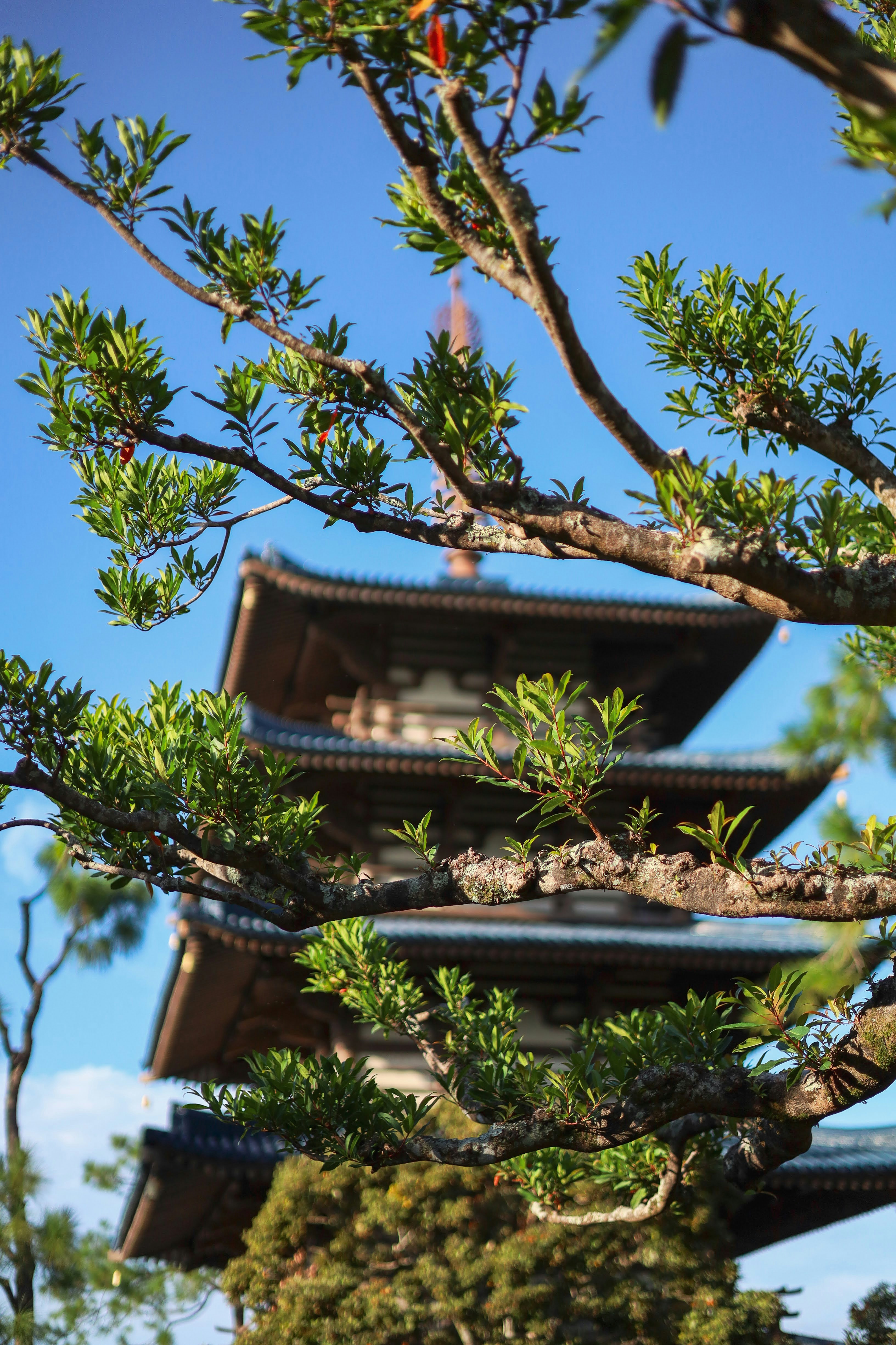 a tall building sitting next to a forest filled with trees
