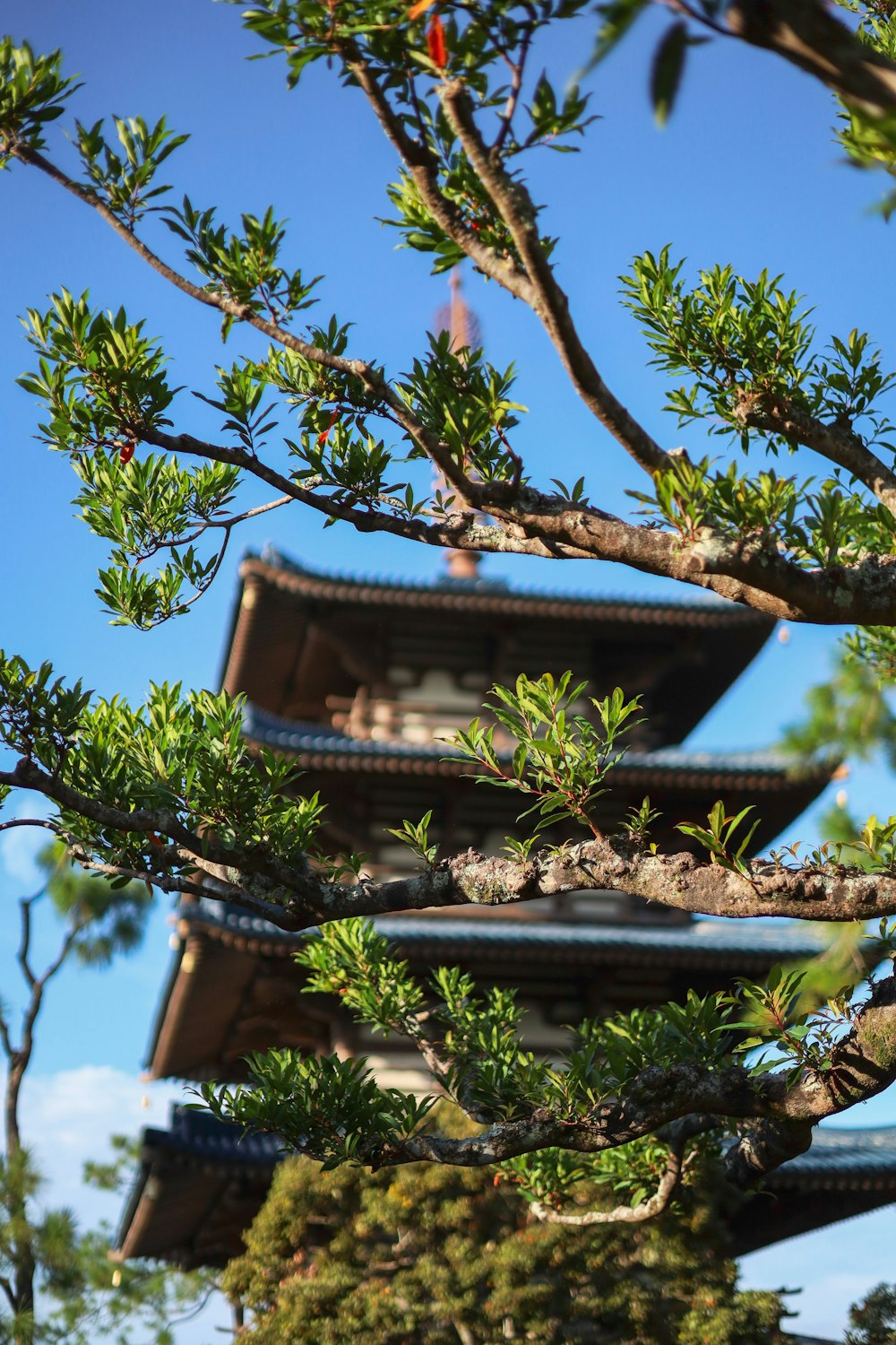 a tall building sitting next to a forest filled with trees