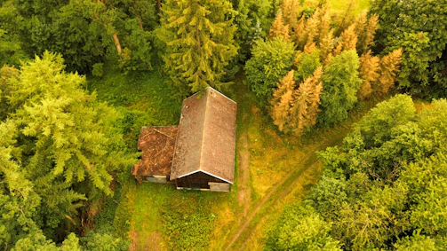 Outdoor security cameras mounted on a cabin surrounded by forest.