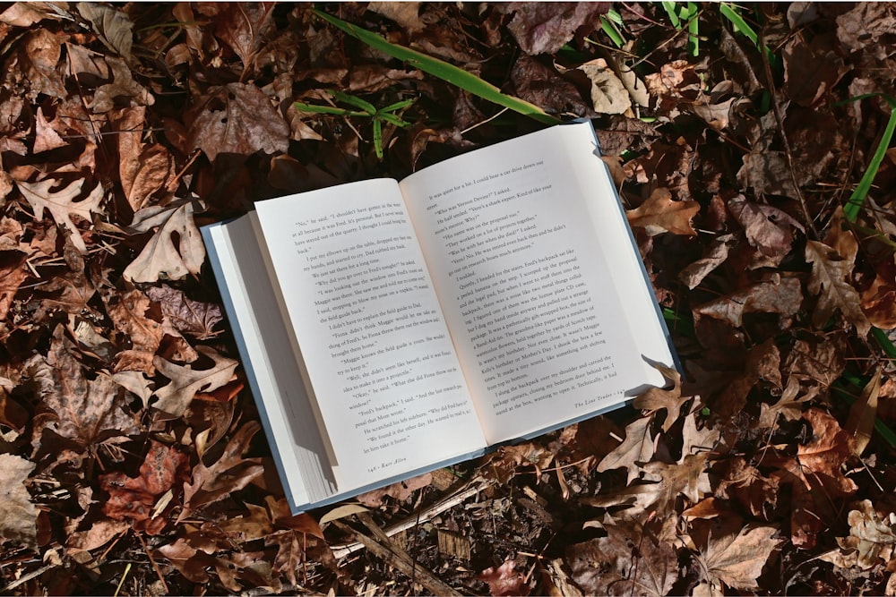 an open book laying on the ground surrounded by leaves