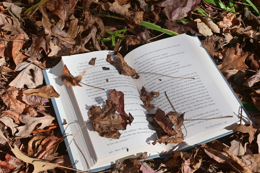 an open book on the ground covered in leaves