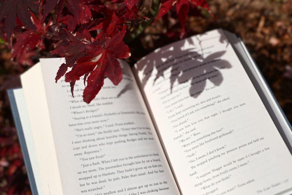 an open book sitting on top of a table