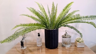 A lush, green fern plant in a black pot sits on a wooden surface. To the left, there are two transparent spray bottles with black nozzles. On the right, a decorative, silver-edged glass container is present, accompanied by a small pot with tiny white flowers.