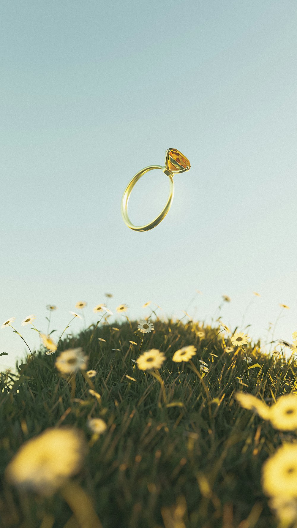 a ring flying through the air over a field of flowers