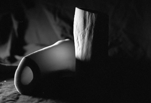 A monochromatic image features two abstract shapes with a soft focus. The lighting creates a dramatic contrast between light and shadow, enhancing the textures on the surfaces of the objects.
