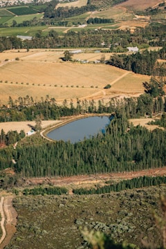 A scenic landscape featuring expansive fields with neatly arranged crops. A small lake is surrounded by dense evergreen forests. The background consists of more cultivated fields and scattered trees, indicating agricultural activity in the area.