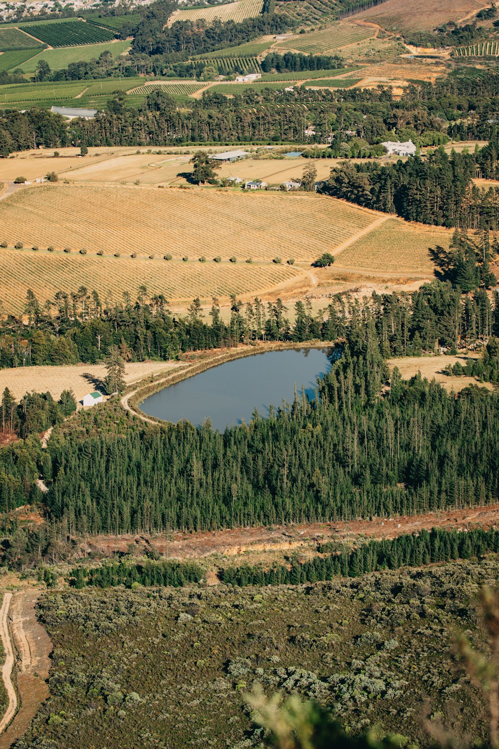 an aerial view of a lake surrounded by trees