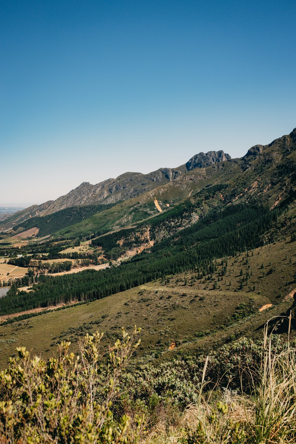 a scenic view of a valley with mountains in the background