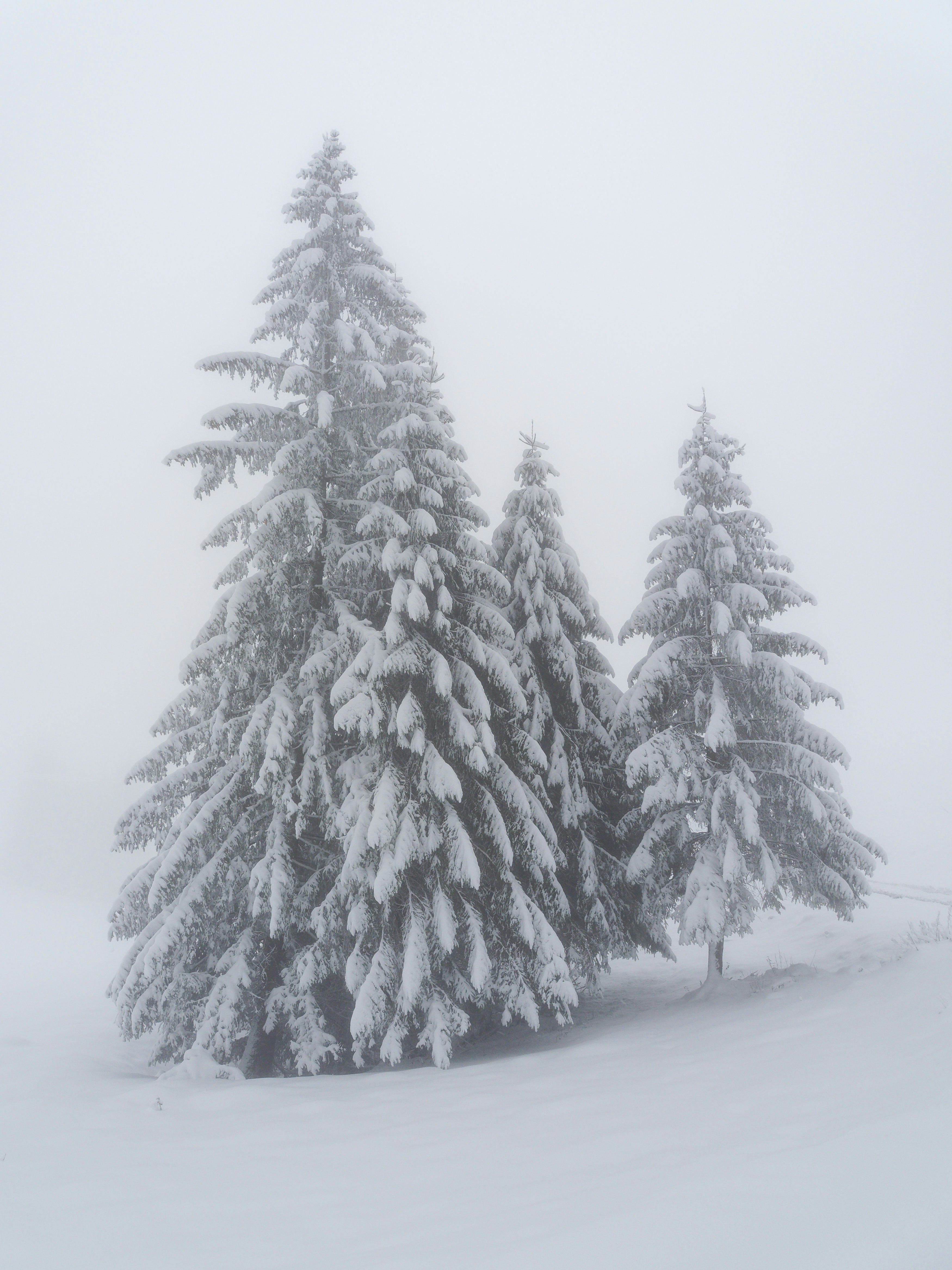 Photo by illes_cristi