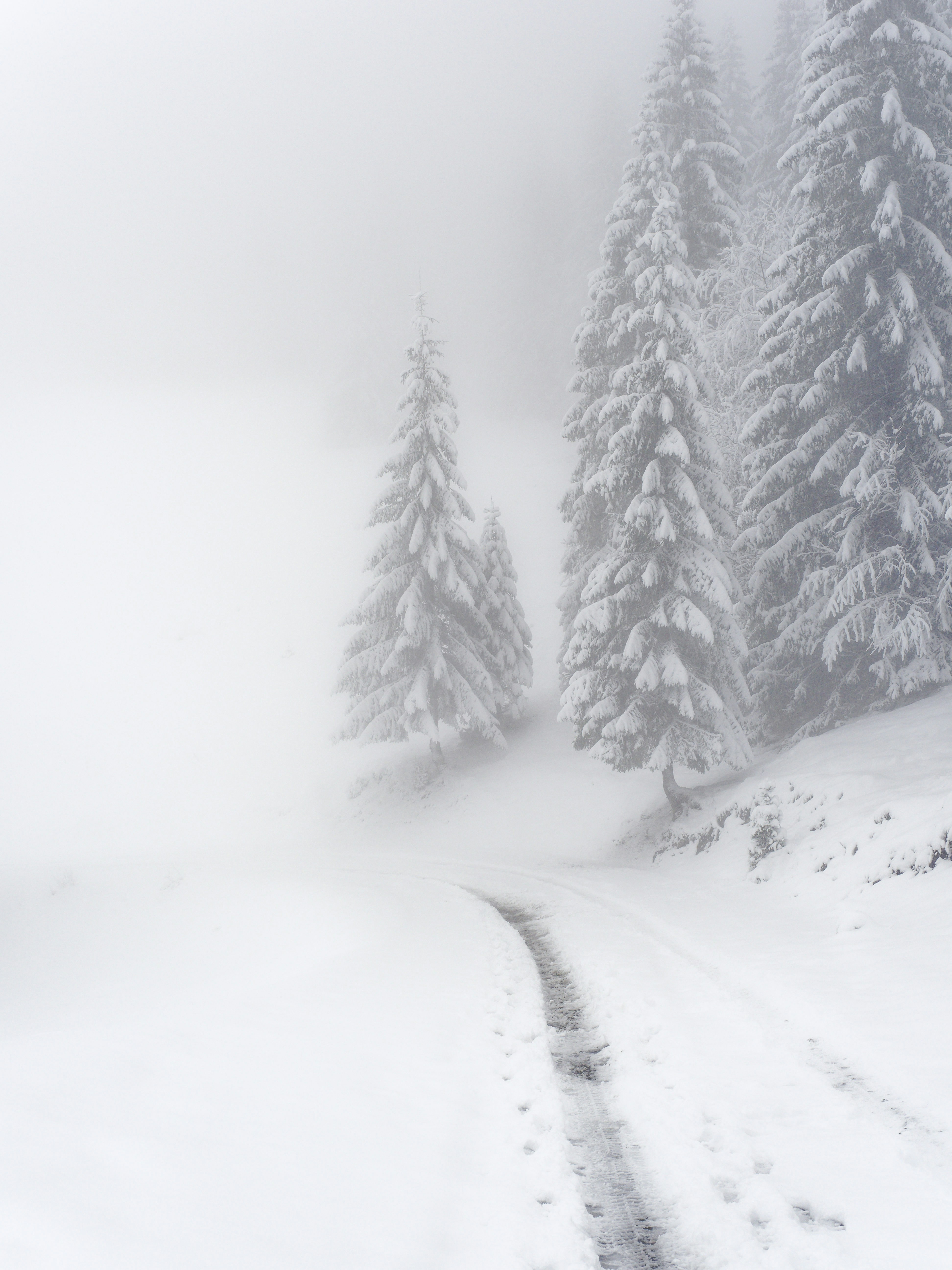 Photo by illes_cristi