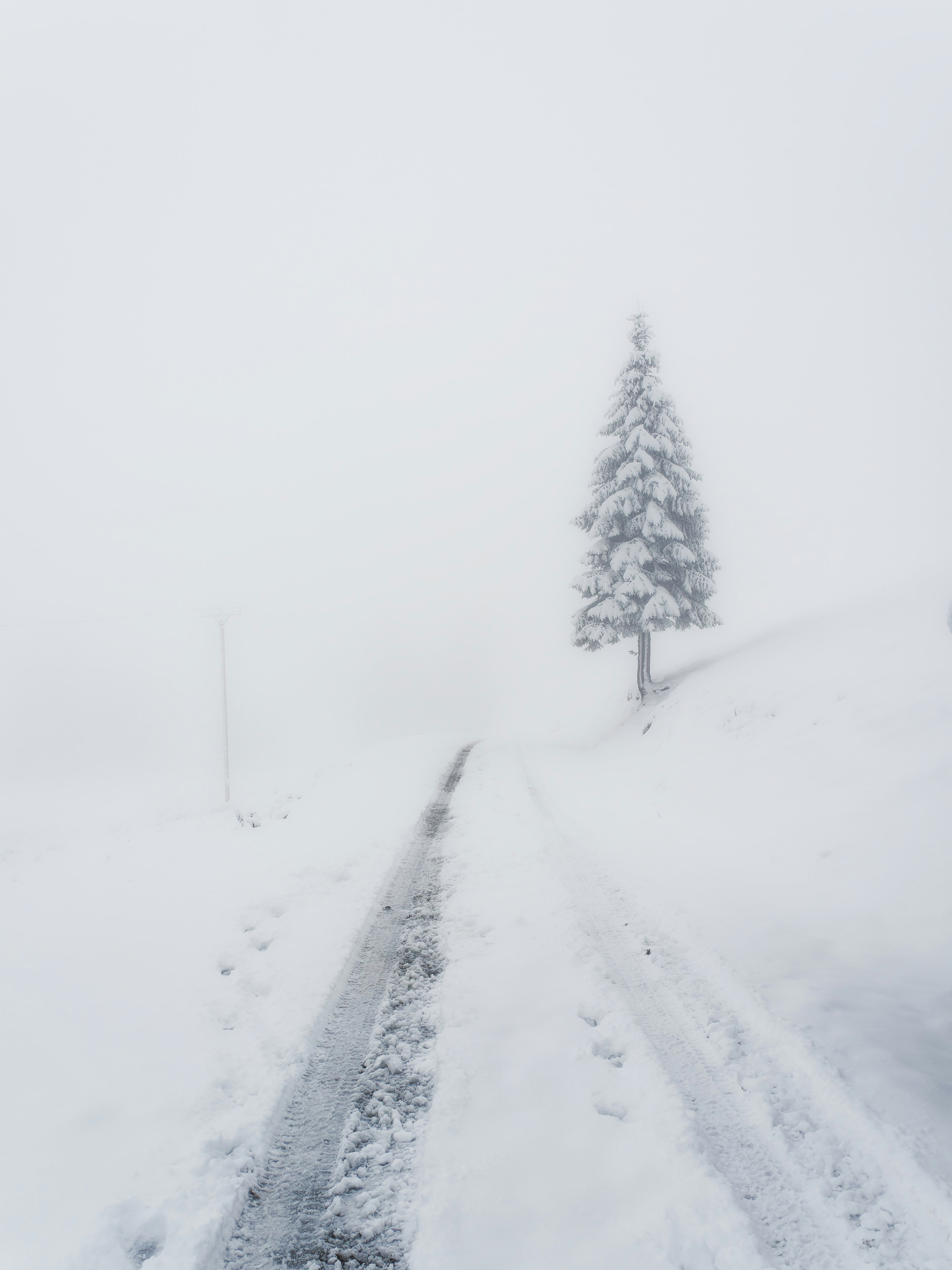 Photo by illes_cristi