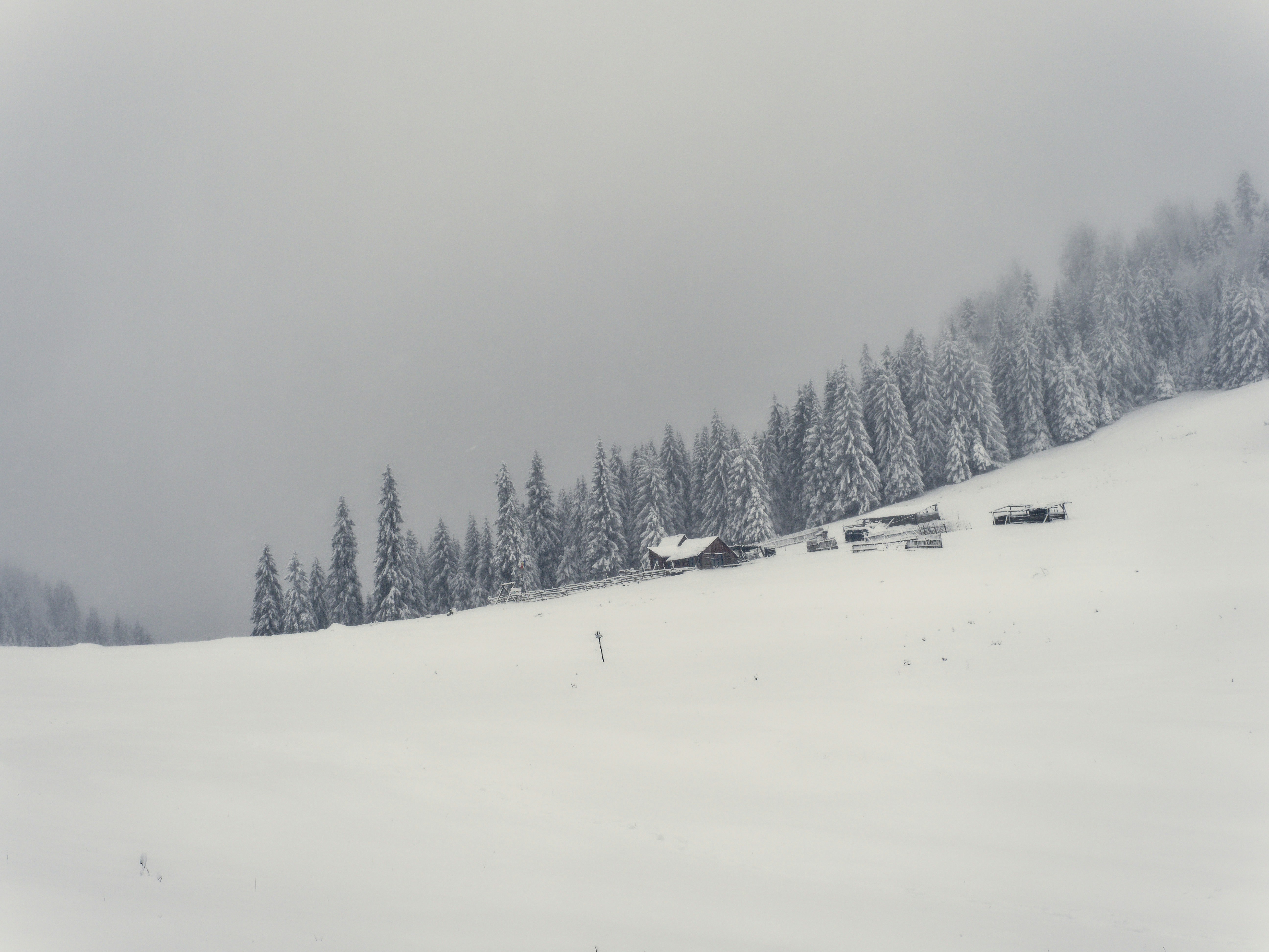 Photo by illes_cristi