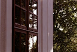 Close-up of energy-efficient windows reflecting greenery
