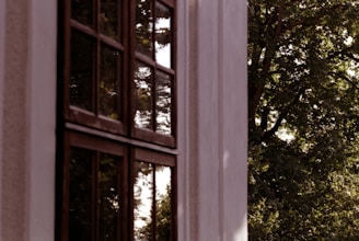 A close-up of a sleek steel window frame with Kerala greenery reflected in the glass.