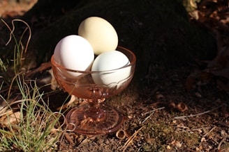 Three eggs are placed in a translucent glass bowl with a warm amber hue. The bowl sits on the ground amidst some dry grass and earthy textures, suggesting a natural or outdoor setting. The lighting casts distinct shadows, creating a contrast with the eggs and enhancing the rustic atmosphere.