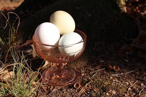 Three eggs are placed in a translucent glass bowl with a warm amber hue. The bowl sits on the ground amidst some dry grass and earthy textures, suggesting a natural or outdoor setting. The lighting casts distinct shadows, creating a contrast with the eggs and enhancing the rustic atmosphere.